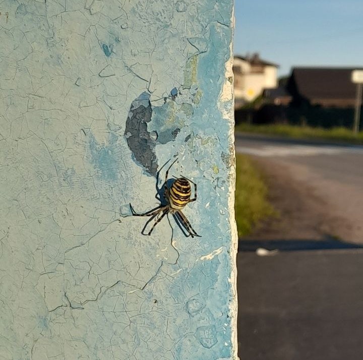 Мой новый знакомый, точнее знакомая