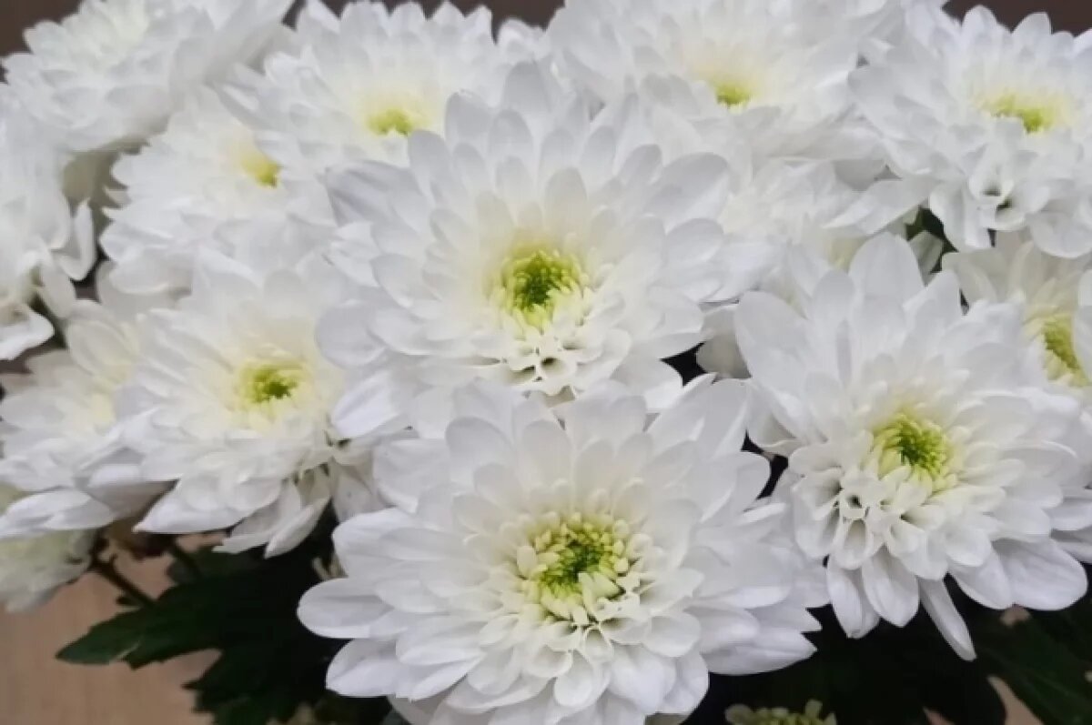    На 1 сентября нижегородские ученики дарят педагогам один букет от класса