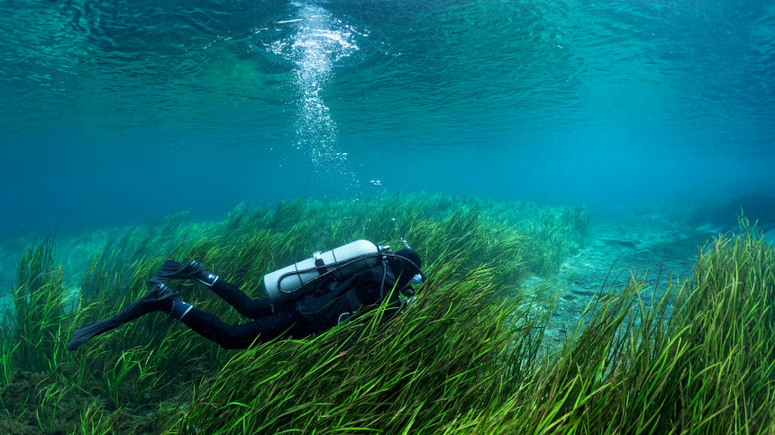    Фото: www.globallookpress.com/Norbert Probst