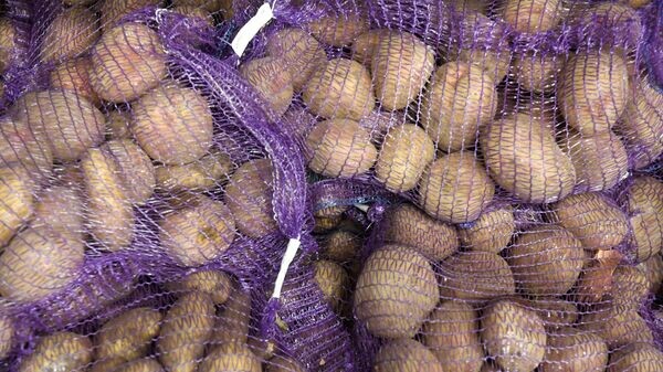    © Sputnik / Максим Богодвид