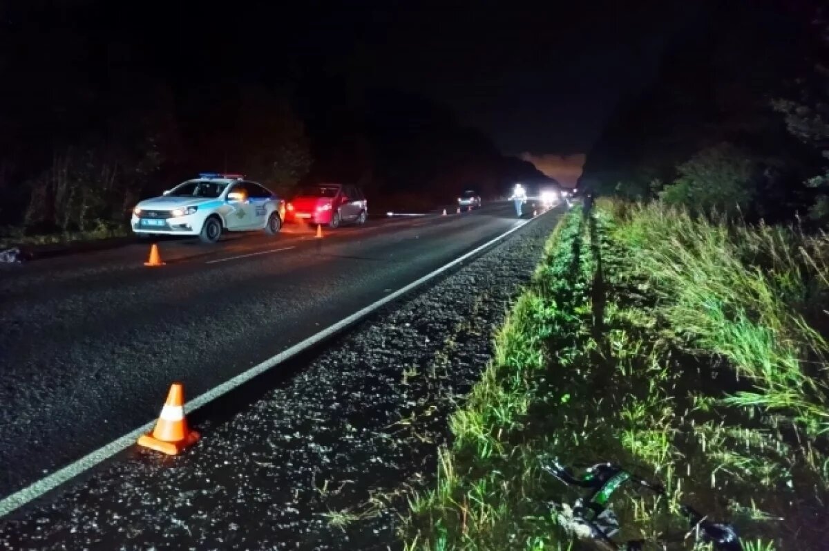    Водитель BMW насмерть сбил велосипедиста под Нижним Тагилом