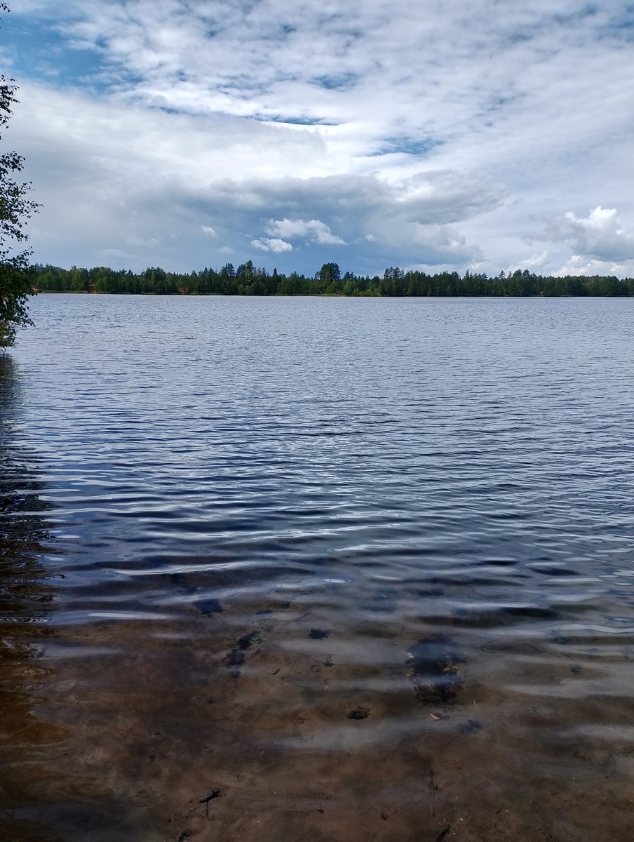 Фото автора.