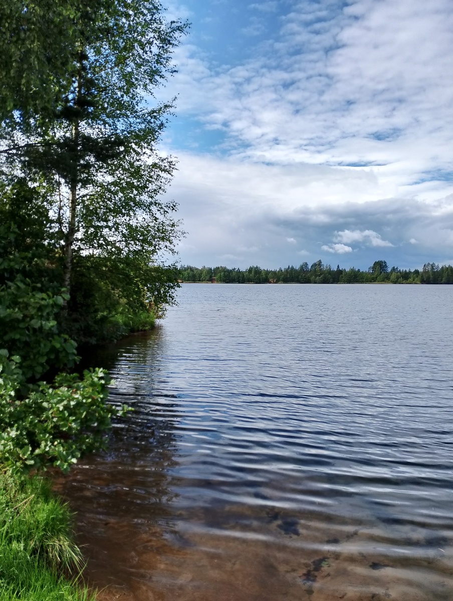 Фото автора.