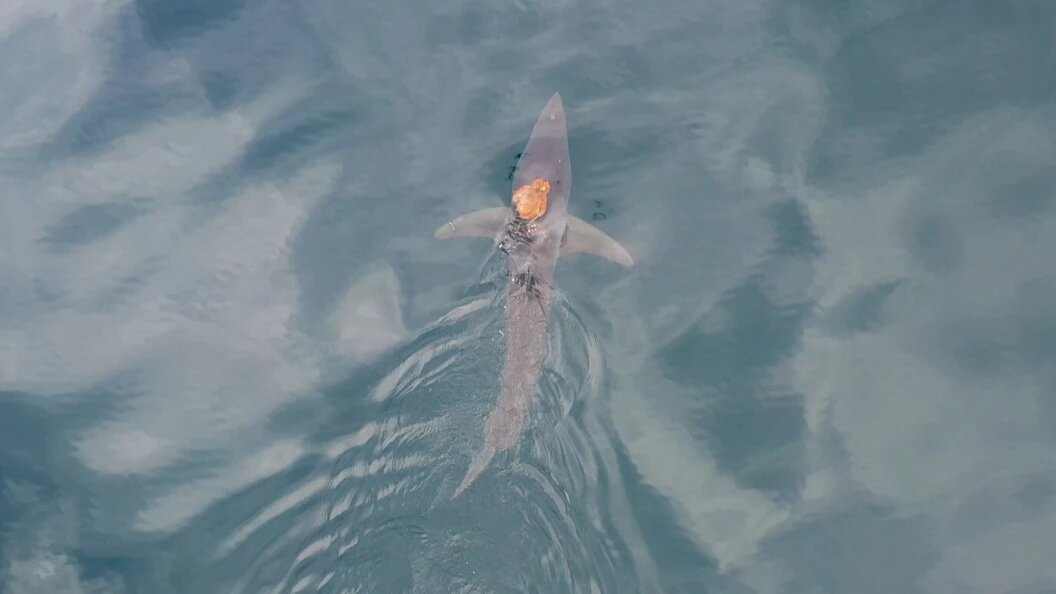    Cover Images/Globallookpress