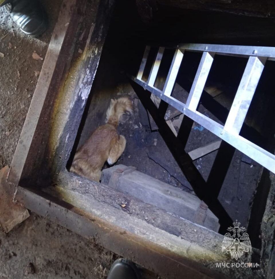    Фото: Пресс-служба ГУ МЧС России по Забайкальскому краю