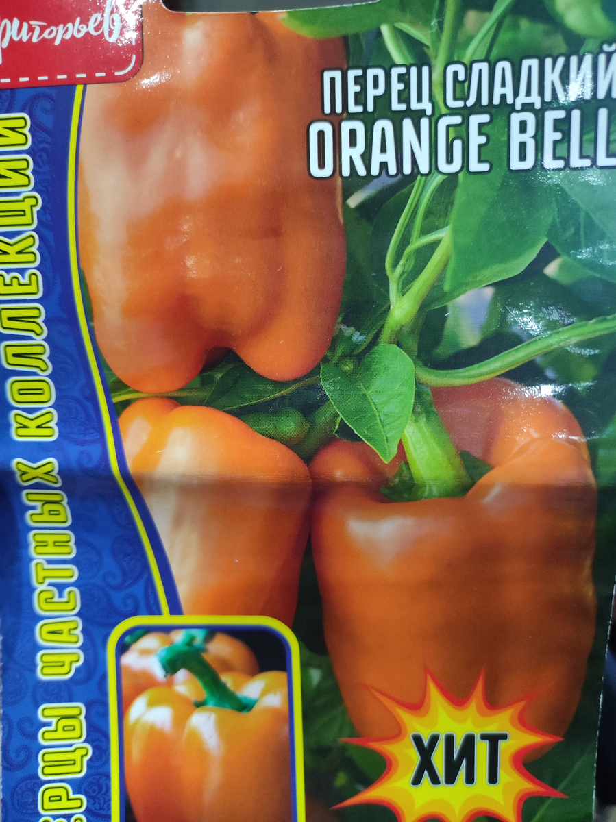 Фото автора, пакет семян сладкого перца Оранж Белл от агрофирмы Григорьев, август 2025 года