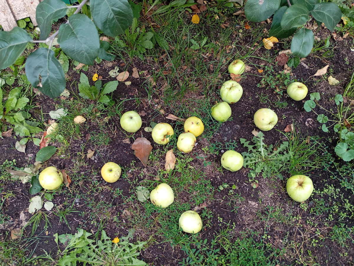 Фото автора.