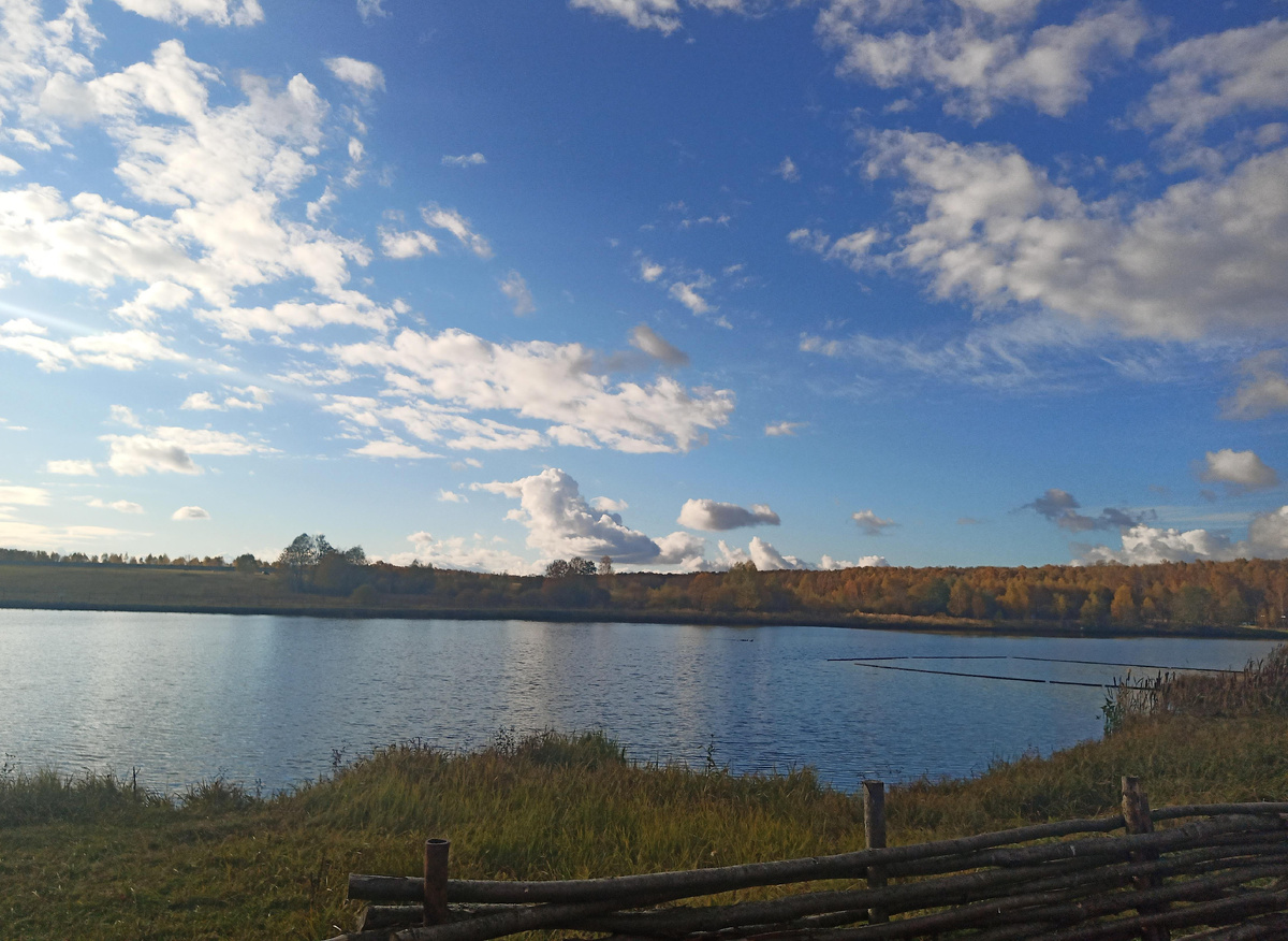 Территория,один из прудов