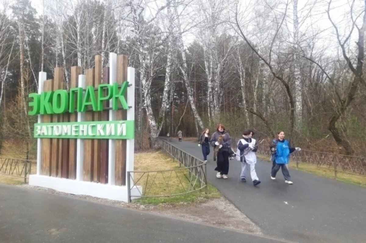   Тюменцам рассказали, как будет меняться Затюменский экопарк
