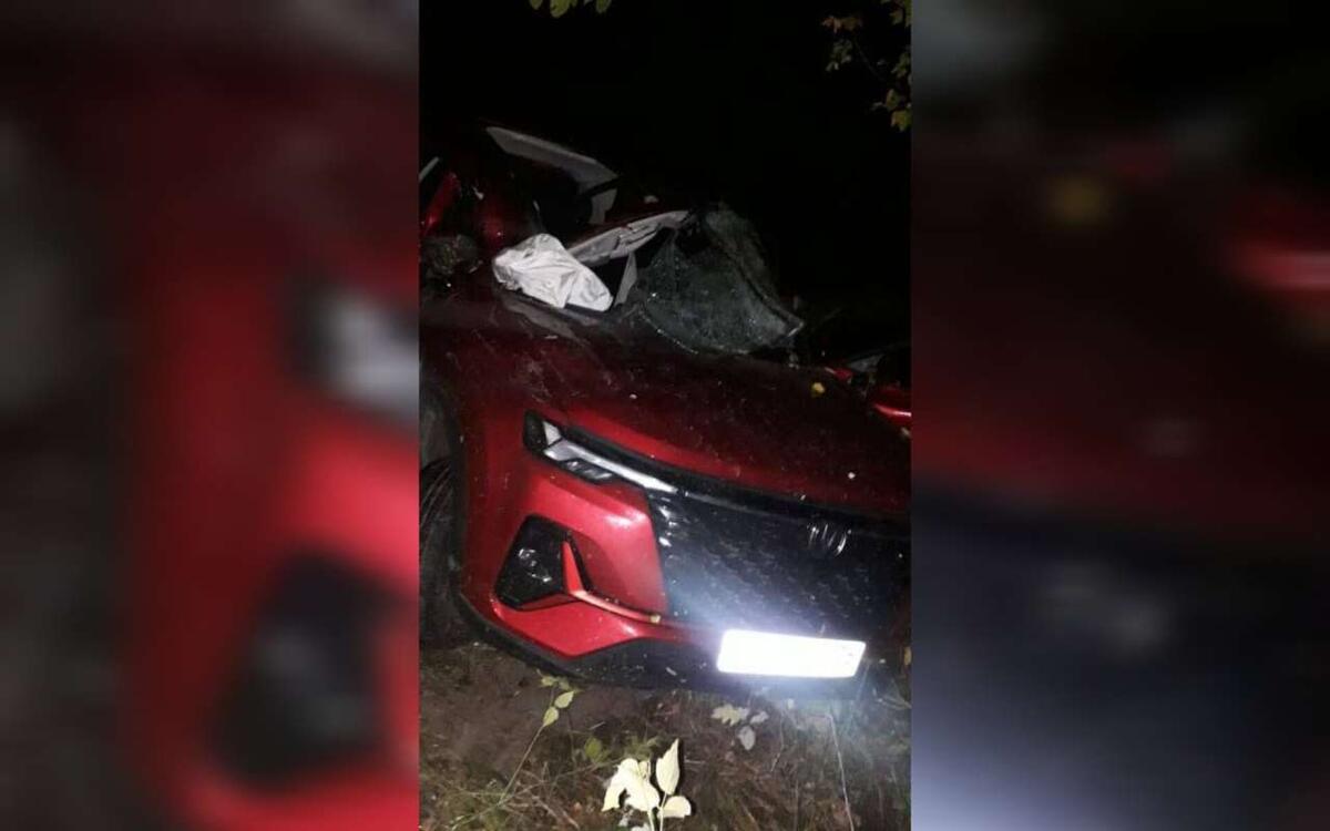 Фото: ГУ МВД по Воронежской области