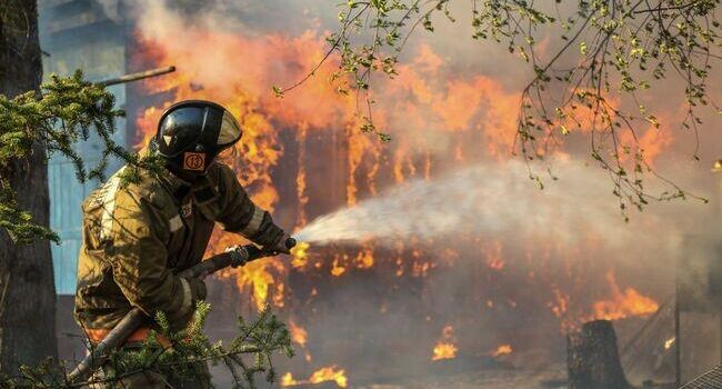    РИА «Новости»