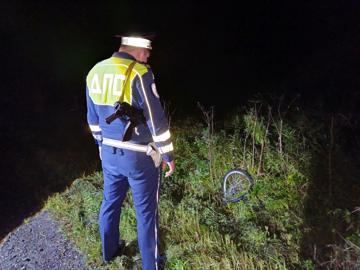 Фото: Госавтоинспекция Свердловской области  📷
