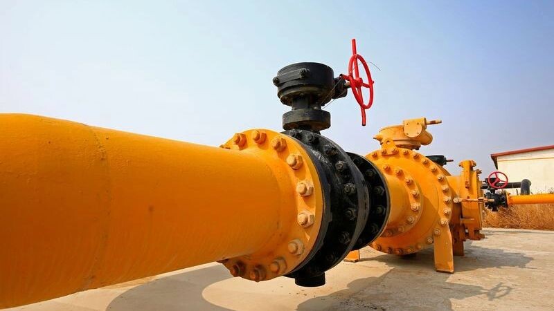    Фото: pan demin/Shutterstock/Fotodom