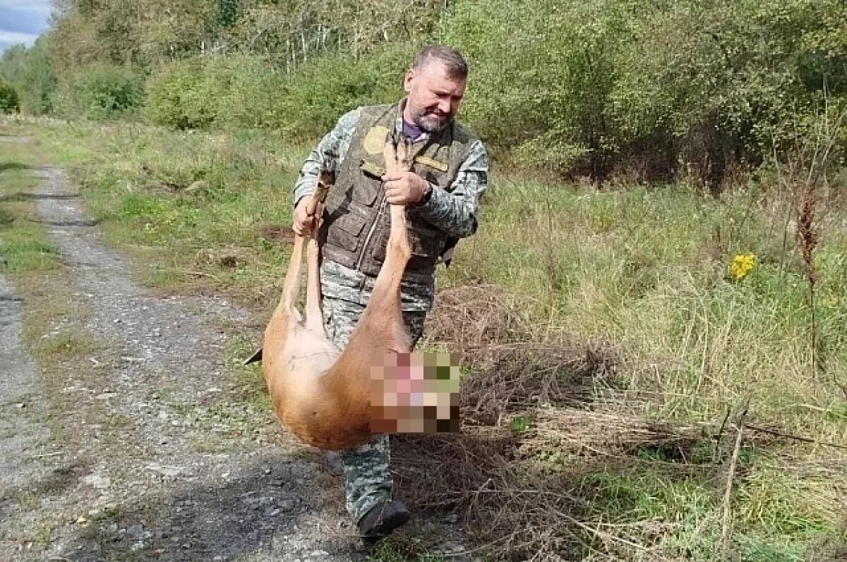    Свердловчанка пошла гулять с собакой и нашла раненую косулю