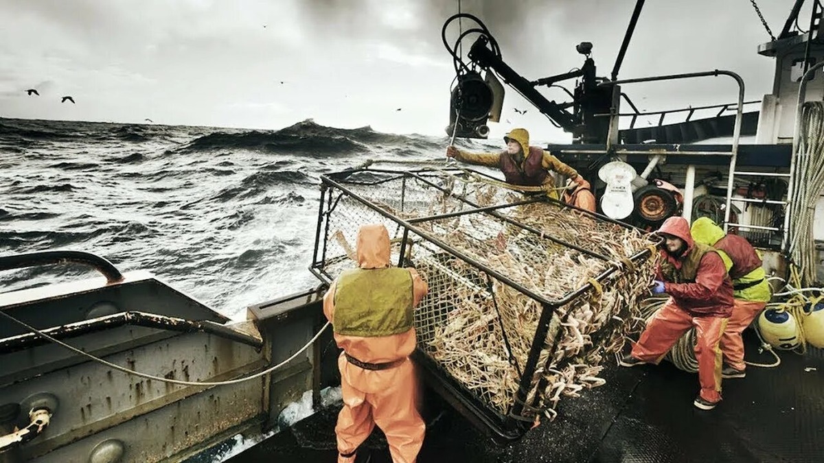 Из открытых источников.