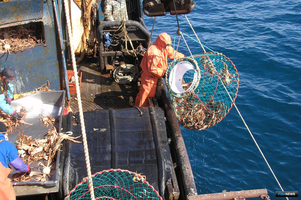 Из открытых источников.