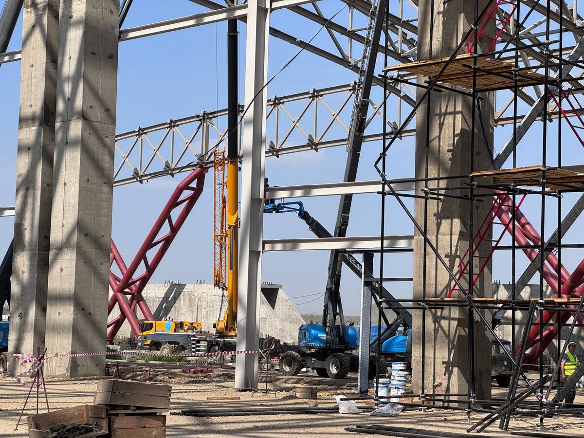    Фото: Екатерина Мухамедова/BFM Кубань