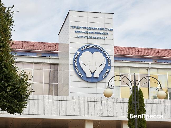 Фото: Елена Журавлёва