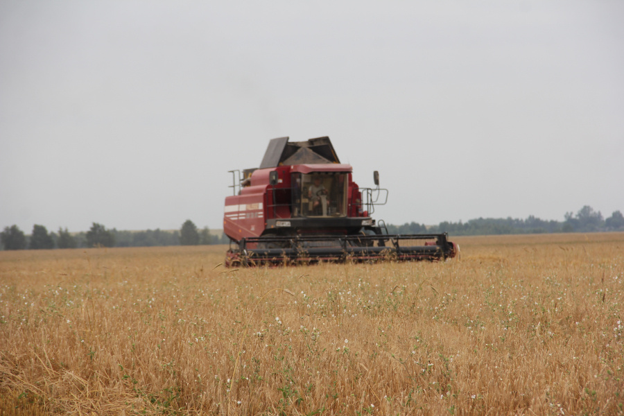     Уборочная на Копыльщине финиширует