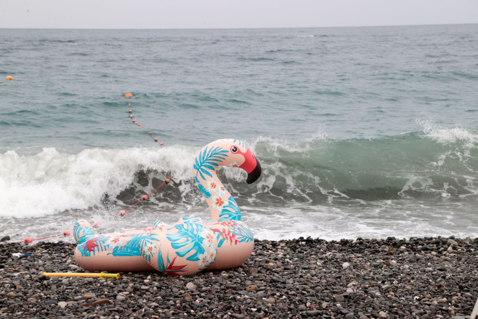    Алексей Белкин/NEWS.ru