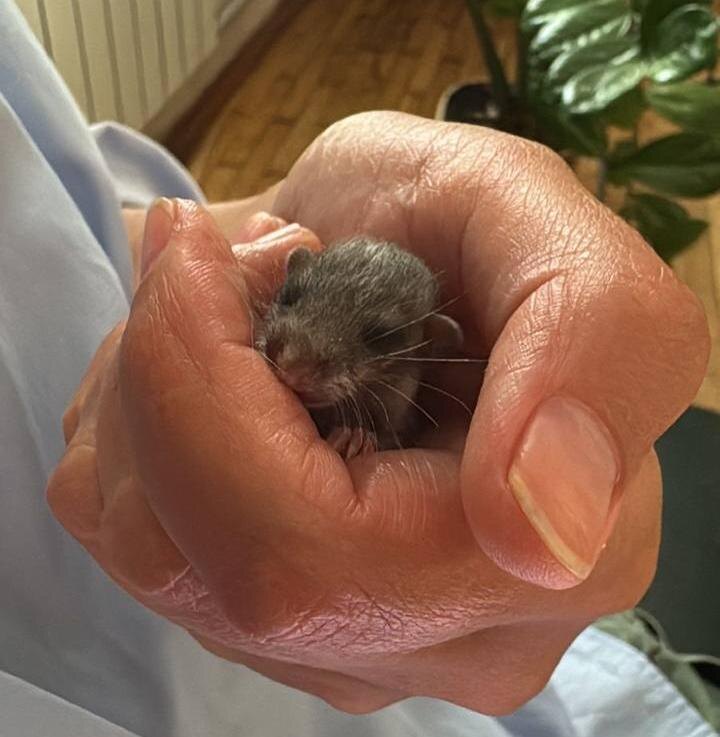 Фото: Кавказский государственный природный биосферный заповедник им. Х.Г. Шапошникова