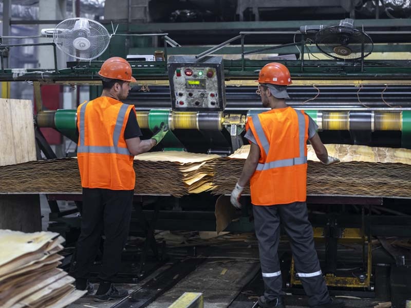 Фото: ООО «Вологодский лес»