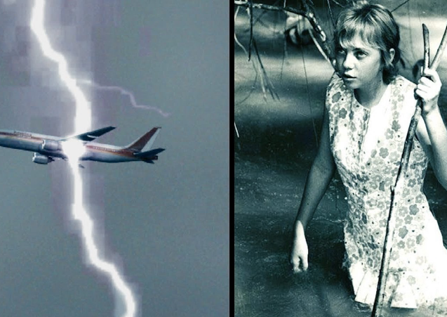 Картинки Яндекса