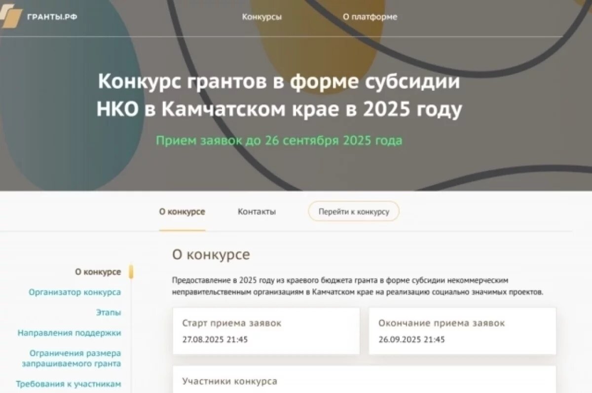    НКО Камчатки могут выиграть до миллиона рублей на свои проекты