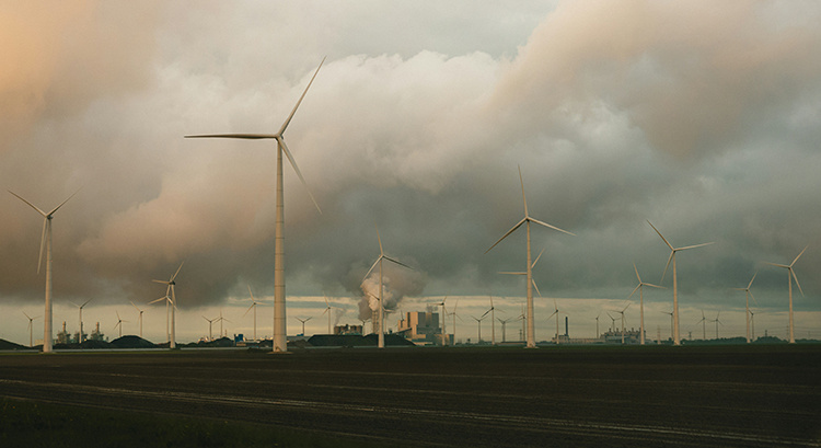 © Tim van der Kuip/Unsplash