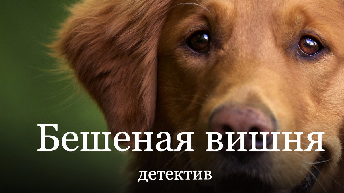 Изображение от Фрипик