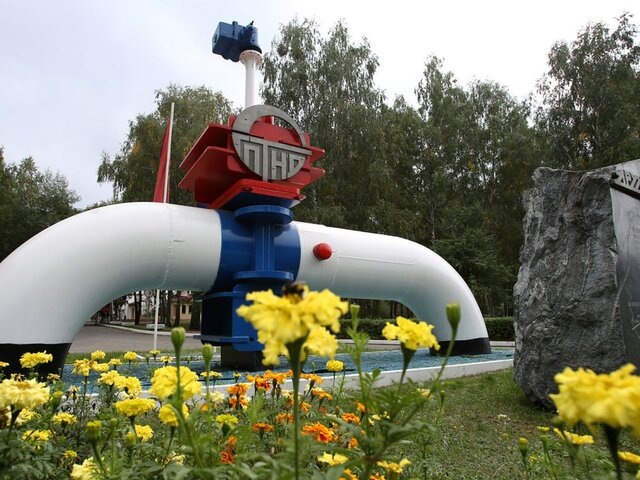    Фото: РИА Новости/Егор Еремов