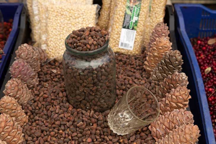    Фото из архива VN.ru