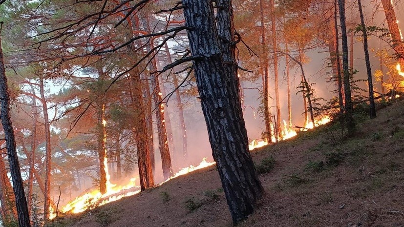    Оперативный штаб Краснодарского края