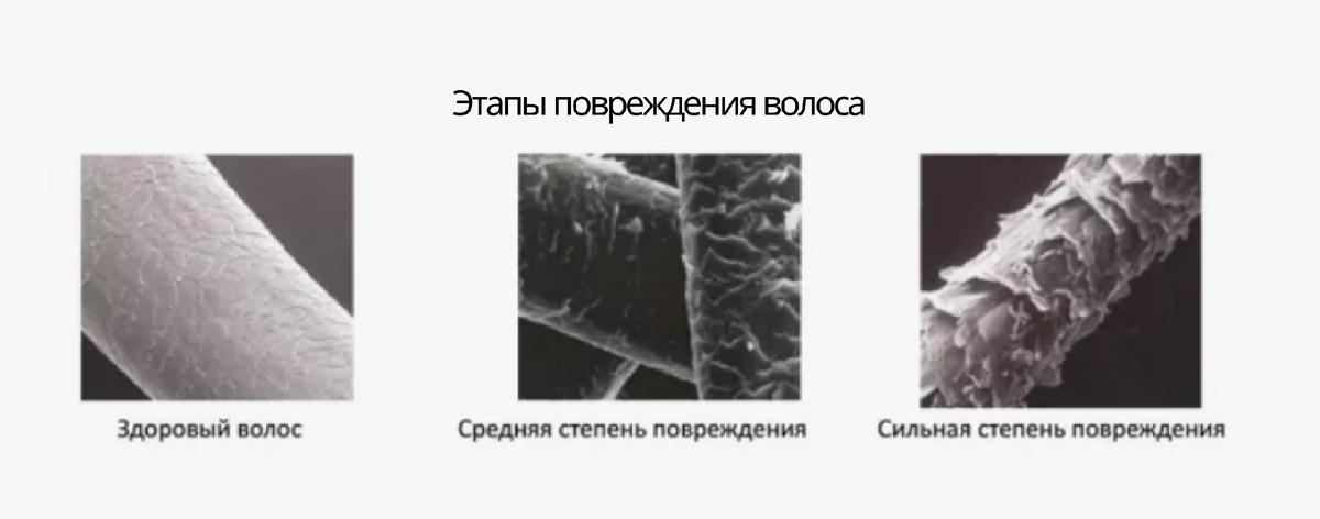 Этапы повреждения стержня волоса