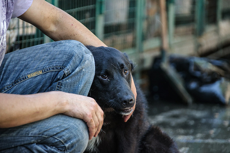    Сергей Лантюхов/NEWS.ru