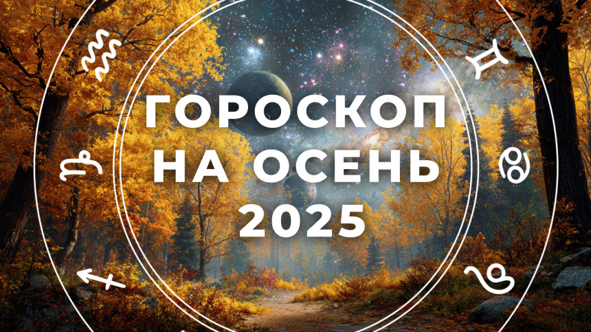    Фото: 5-tv.ru