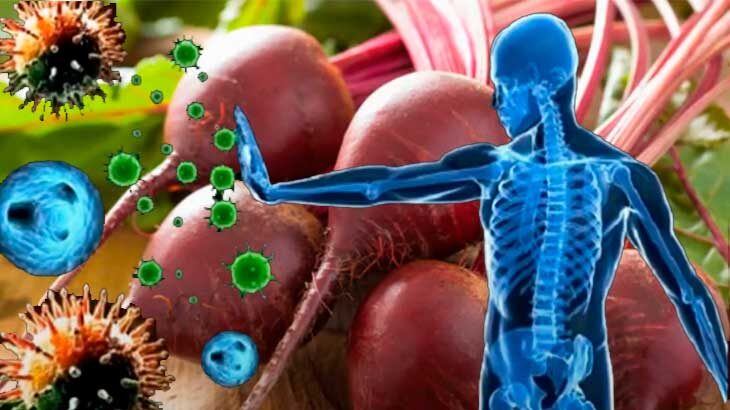 Польза свеклы для организма человека.