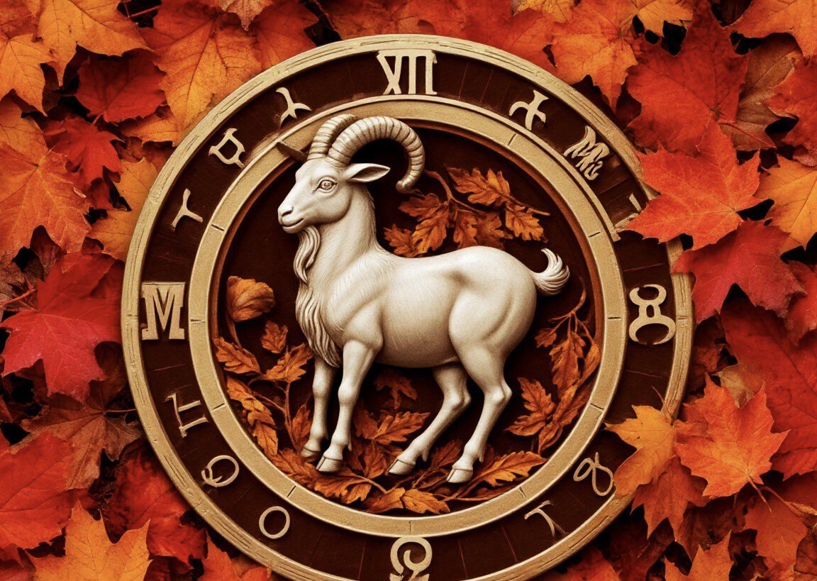 Козерог 22 декабря - 20 января