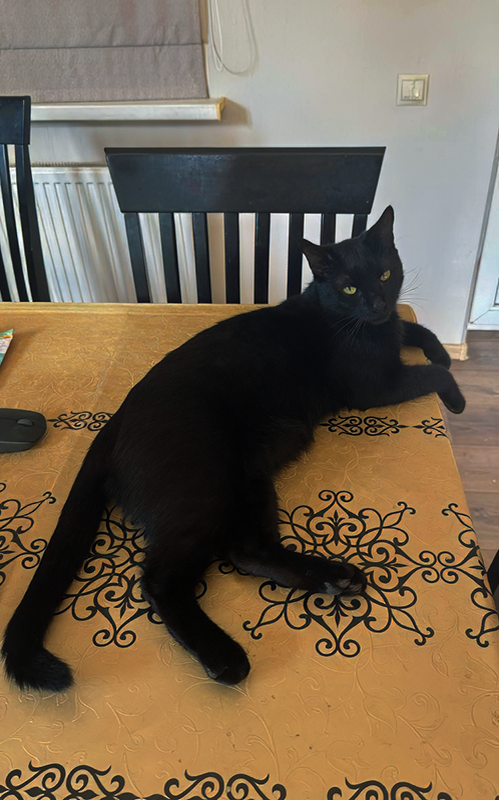 Хрестоматийный охотник Уголек