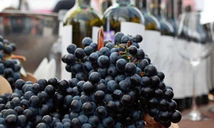    Фото: Минсельхоз РФ