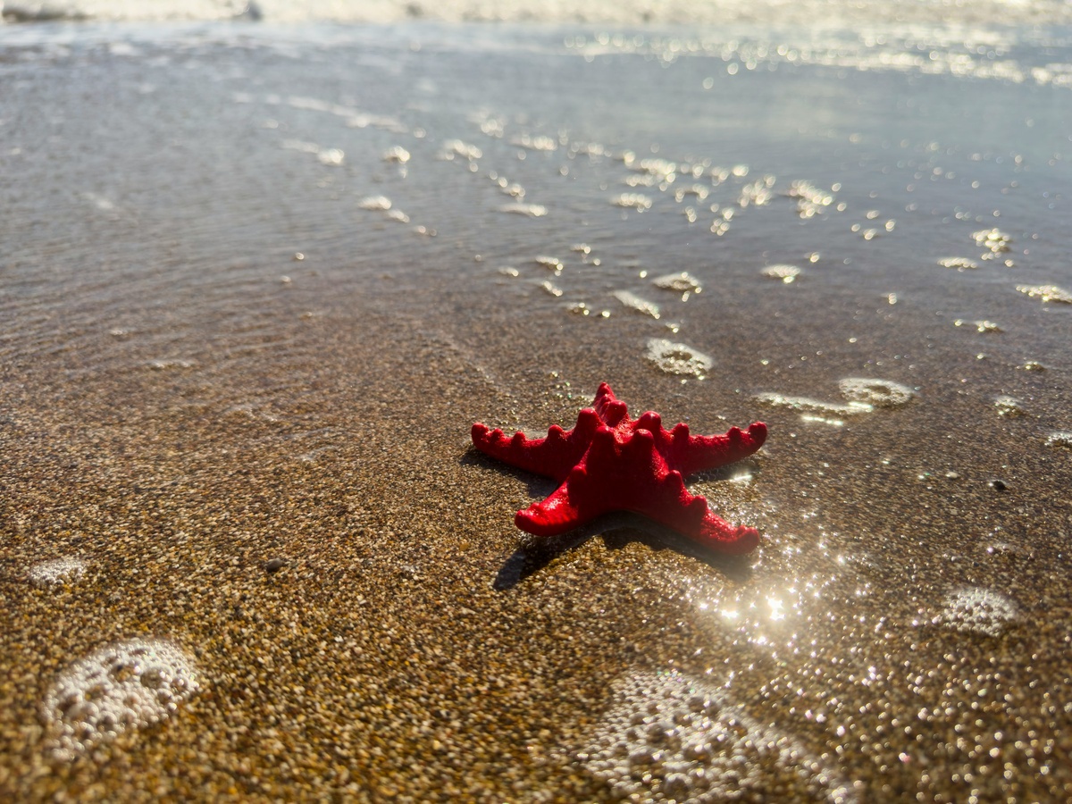 Фото с бесплатного фотостока https://unsplash.com, автор engin akyurt