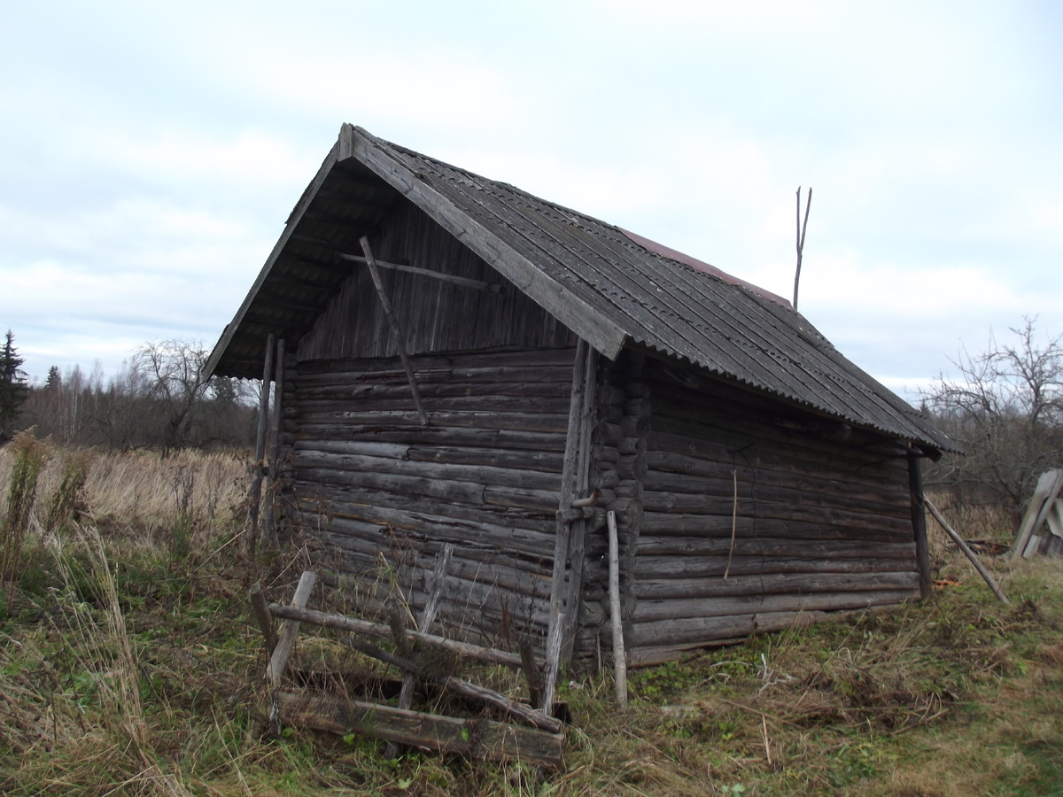 Сарай, 7 ноября 2017