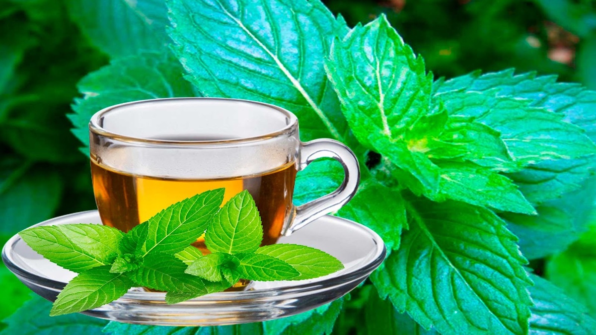 Чай с мятой.