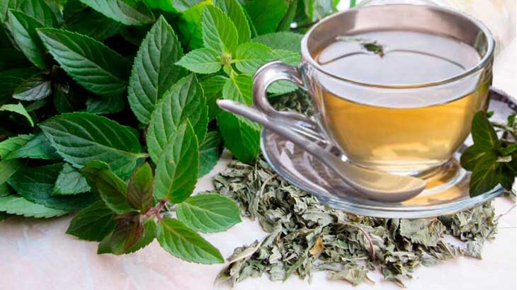Чем полезна мята.