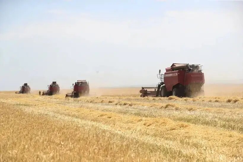     © Пресс-служба главы Ингушетии. Юсуп Ханиев