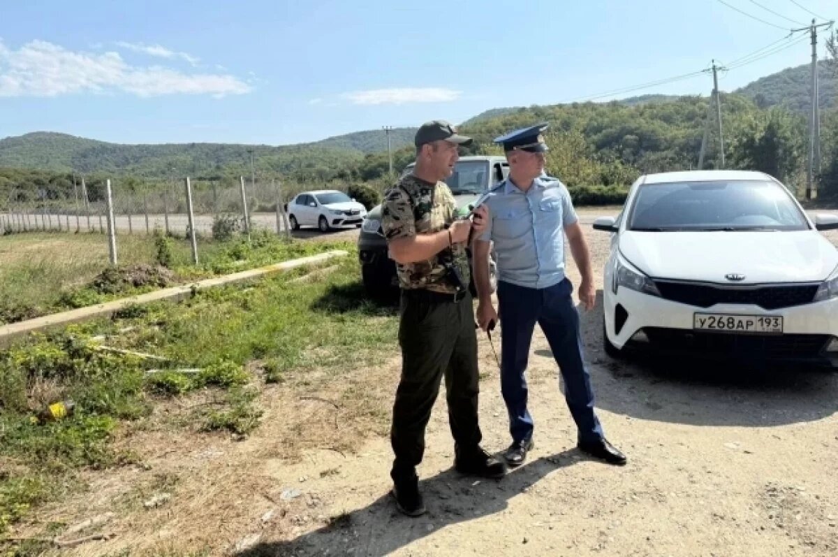    Лесной пожар под Геленджиком тушат 150 человек