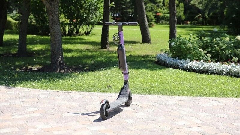      Фото: Администрация Ставрополя