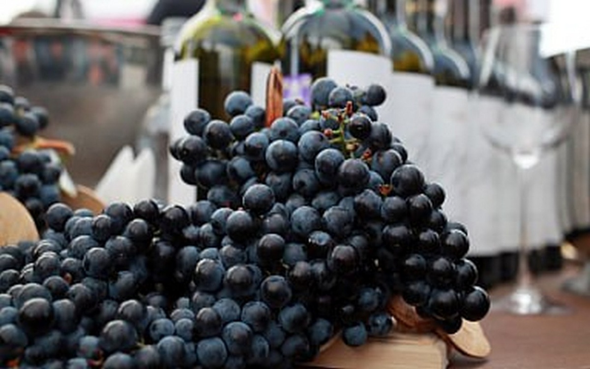    Доля отечественных вин на рынке России превысила 60% — Минсельхоз Фото: Минсельхоз РФ