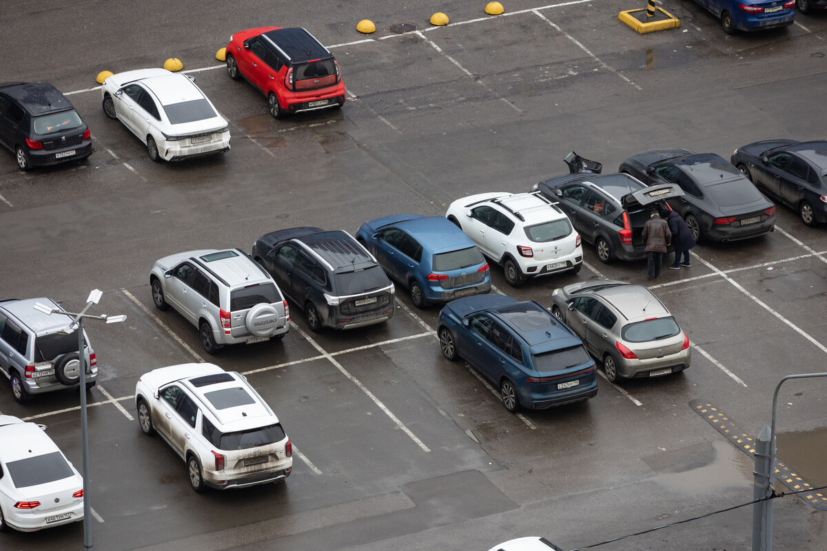 Фото: Дмитрий Фуфаев / «Петербургский дневник»