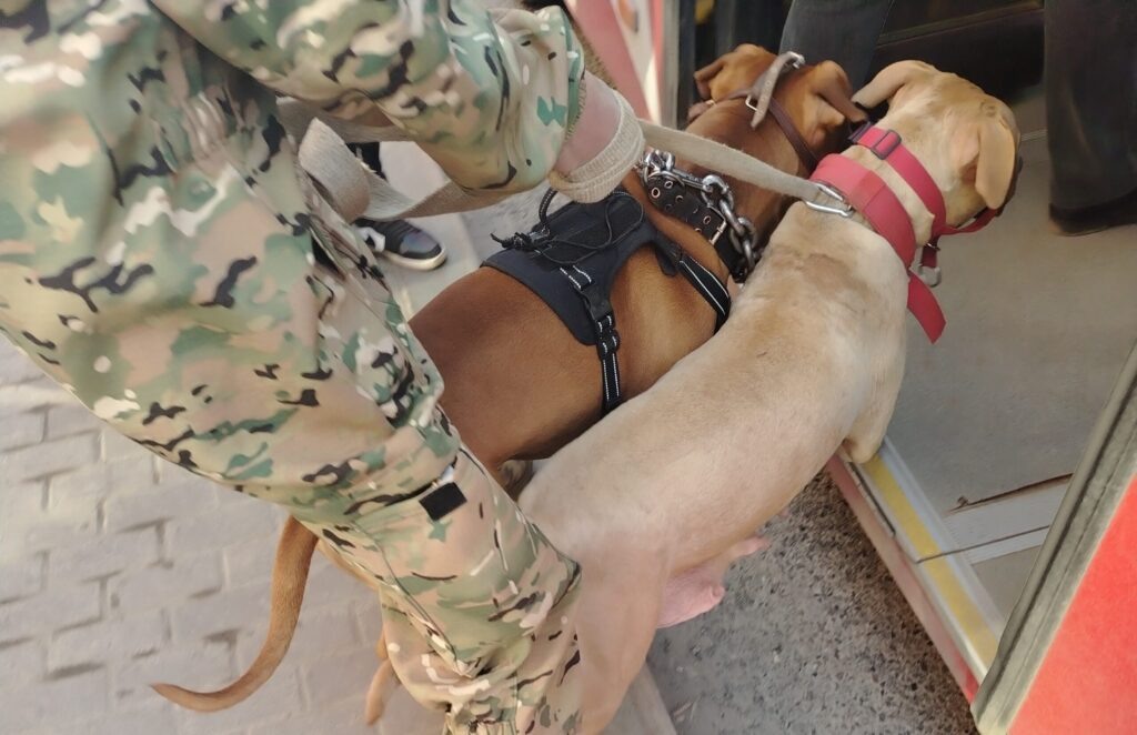    Фото: Полина Анкушина Полина Анкушина